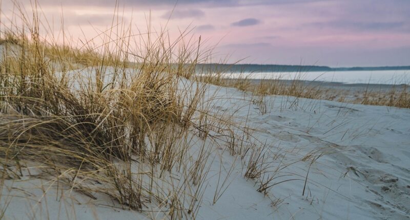 Schöner weißer Ostseestrand