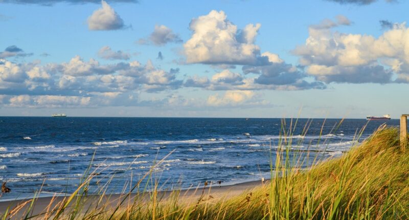 Dünen am Strand